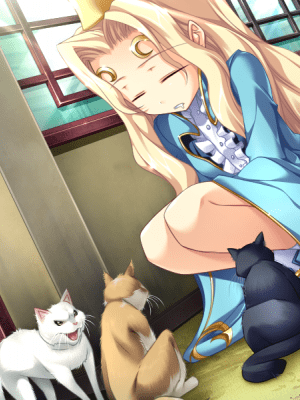 真·恋姫†無双_0729