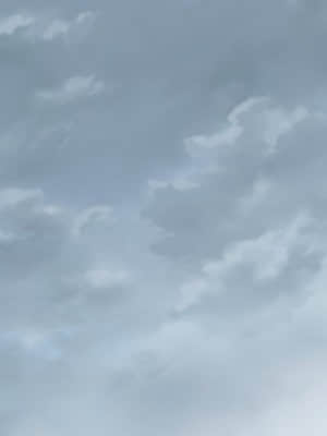 [Whirlpool] けもの道☆ガーリッシュスクエア_186_bg00d1