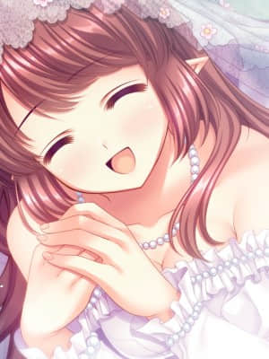 [Navel] Princess×Princess_316_ev_end_01_03