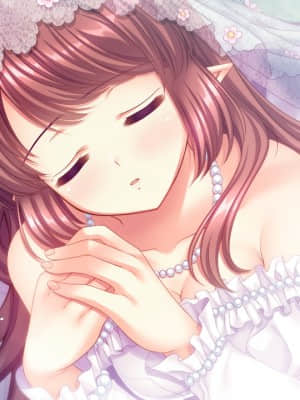 [Navel] Princess×Princess_317_ev_end_01_04