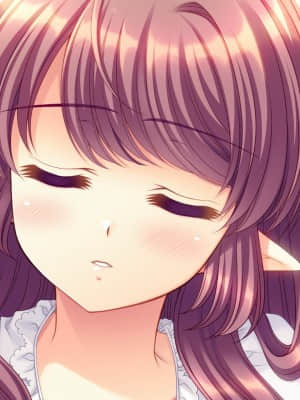 [Navel] Princess×Princess_368_zev_lth_42_01