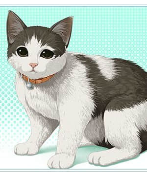 [MOONSTONE Cherry] 妹ぱらだいす！3 ～お兄ちゃんと5人の妹のすご～く！エッチしまくりな毎日～_cut08c