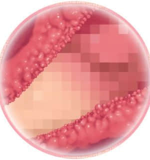 [MOONSTONE Cherry] 妹ぱらだいす！3 ～お兄ちゃんと5人の妹のすご～く！エッチしまくりな毎日～_dmmask2