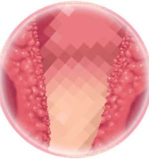 [MOONSTONE Cherry] 妹ぱらだいす！3 ～お兄ちゃんと5人の妹のすご～く！エッチしまくりな毎日～_dmmask3