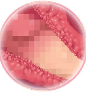 [MOONSTONE Cherry] 妹ぱらだいす！3 ～お兄ちゃんと5人の妹のすご～く！エッチしまくりな毎日～_dmmask5