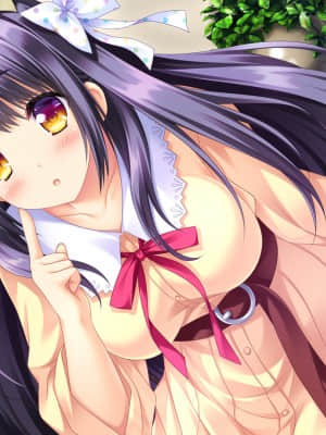 [Lump of Sugar] 若葉色のカルテット_ev_d02_04