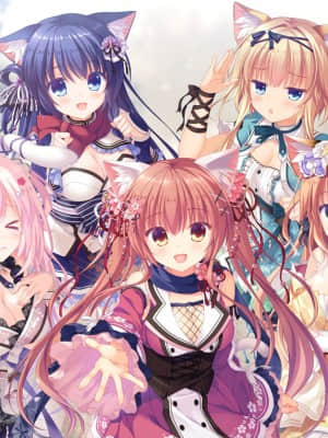 [Whirlpool] 猫忍えくすはーと3_h_all_n_01h