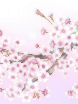 [きゃべつそふと] さくらの雲＊スカアレットの恋_ev309b