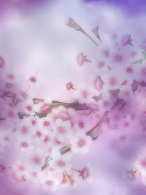 [きゃべつそふと] さくらの雲＊スカアレットの恋_ev309d