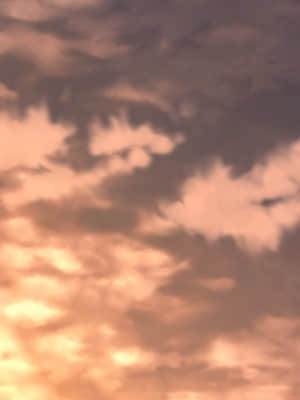 [スカイロケット] 琥珀色のハンター_0639_bg99b