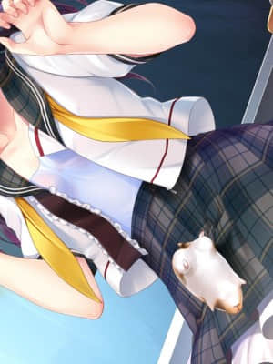 [HOOKSOFT] どっちのiが好きですか？_maev04e