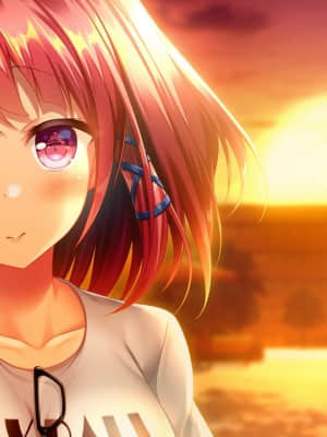 [HOOKSOFT] どっちのiが好きですか？_meev08d