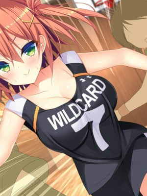 [milimili：AMUSE CRAFT EROTICA] ちんかもツインズ_EV002C