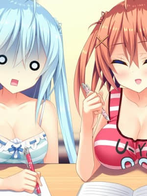 [milimili：AMUSE CRAFT EROTICA] ちんかもツインズ_EV004AA