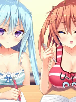 [milimili：AMUSE CRAFT EROTICA] ちんかもツインズ_EV004AG