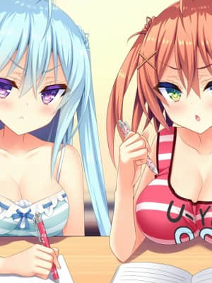 [milimili：AMUSE CRAFT EROTICA] ちんかもツインズ_EV004AJ