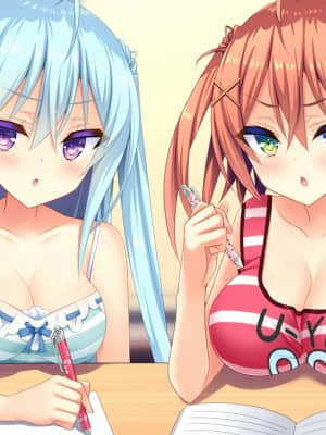 [milimili：AMUSE CRAFT EROTICA] ちんかもツインズ_EV004L