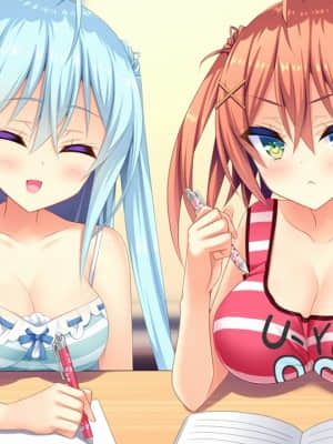 [milimili：AMUSE CRAFT EROTICA] ちんかもツインズ_EV004M