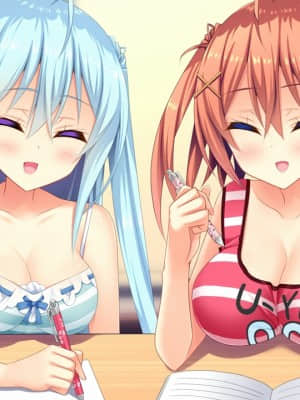 [milimili：AMUSE CRAFT EROTICA] ちんかもツインズ_EV004O