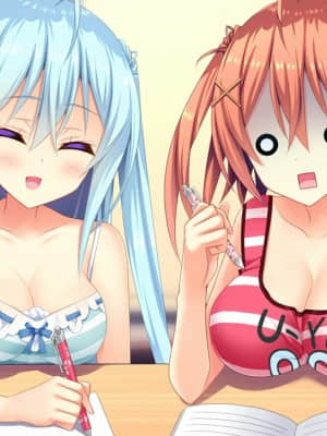 [milimili：AMUSE CRAFT EROTICA] ちんかもツインズ_EV004Q