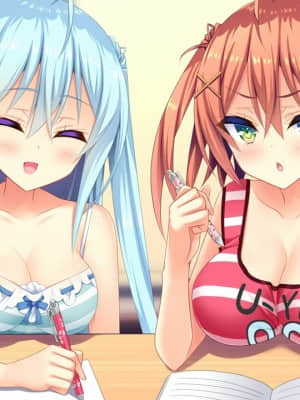 [milimili：AMUSE CRAFT EROTICA] ちんかもツインズ_EV004R