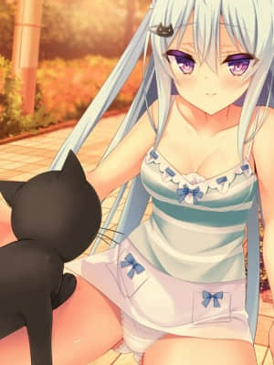 [milimili：AMUSE CRAFT EROTICA] ちんかもツインズ_EV018A