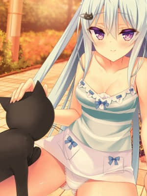 [milimili：AMUSE CRAFT EROTICA] ちんかもツインズ_EV018D