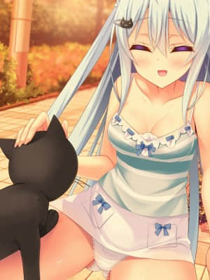 [milimili：AMUSE CRAFT EROTICA] ちんかもツインズ_EV018E