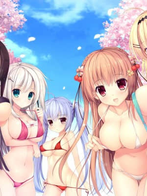 [NanaWind] 白恋サクラ＊グラム__cover2