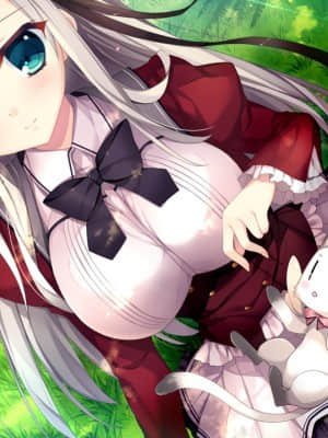 [NanaWind] 白恋サクラ＊グラム_evERI01aa