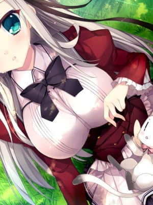 [NanaWind] 白恋サクラ＊グラム_evERI01bb