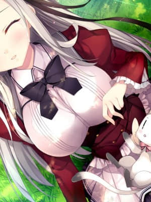 [NanaWind] 白恋サクラ＊グラム_evERI01bc