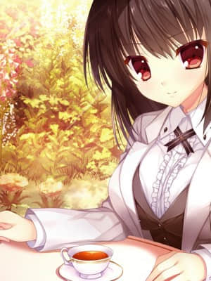 [NanaWind] 白恋サクラ＊グラム_evSho01b