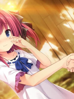 [feng] 夢と色でできている_CGA02_bL