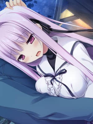 [feng] 夢と色でできている_CGB12_c