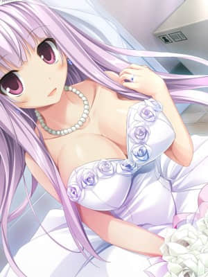 [feng] 夢と色でできている_CGB15L