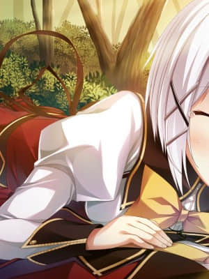 [feng] 夢と色でできている_CGD15_b