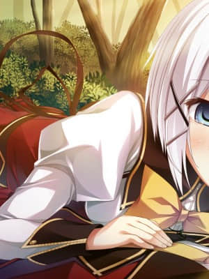 [feng] 夢と色でできている_CGD15_c