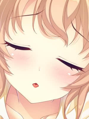 [SMEE] Sugar＊Style_itev_15d