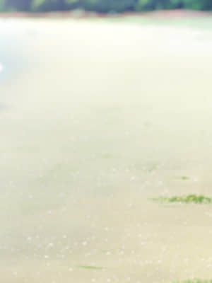 [minori] その日の獣には_0047_A10_bg0310a01_01_680up