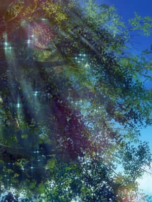 [minori] その日の獣には_0218_beast_bg0000s01_01