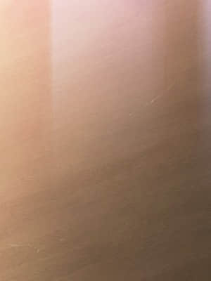 [minori] その日の獣には_0238_beast_bg0013a01_01