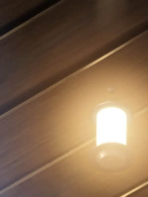 [minori] その日の獣には_0266_beast_bg0111a01_01