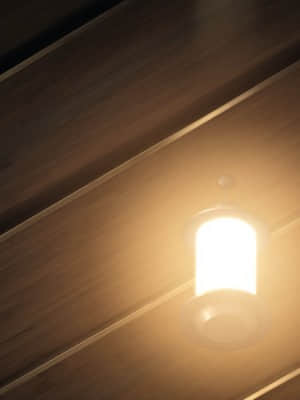 [minori] その日の獣には_0268_beast_bg0111a01_03