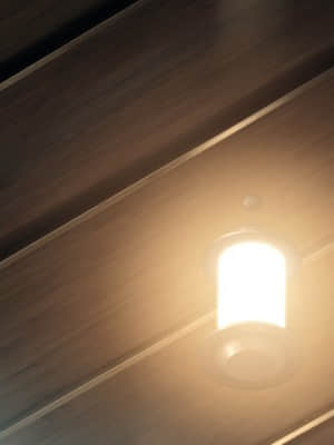 [minori] その日の獣には_0269_beast_bg0111b01_01