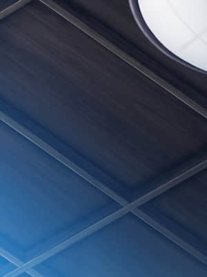 [minori] その日の獣には_0278_beast_bg0121a01_00