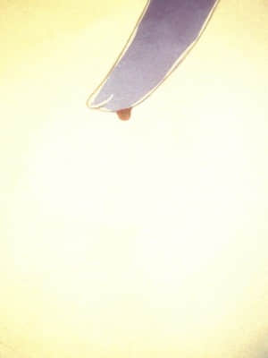 [minori] その日の獣には_0334_ev00_0020a