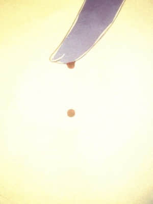 [minori] その日の獣には_0335_ev00_0020b