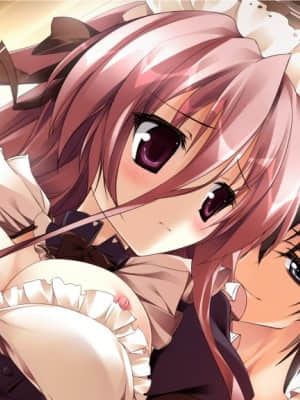 いきなりあなたに戀している_0246