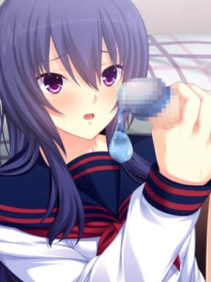 [WitchFlame] 妹とヤリたいことのすべて 「ごくん……ねぇ、なんでもするから、これ、もっとちょうだい、お兄ちゃん」_cgA-25d02